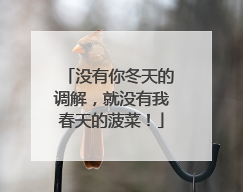没有你冬天的调解，就没有我春天的菠菜！