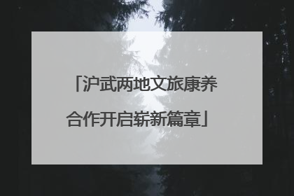 沪武两地文旅康养合作开启崭新篇章