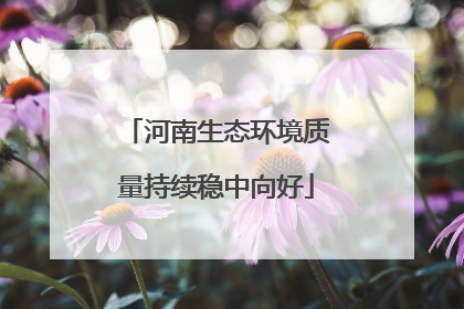 河南生态环境质量持续稳中向好