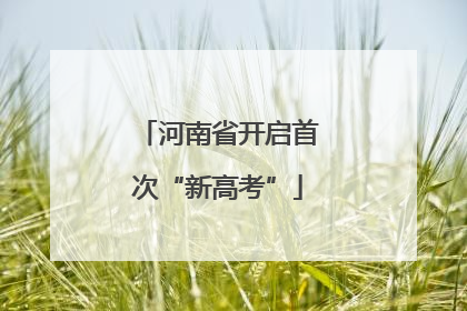 河南省开启首次“新高考”