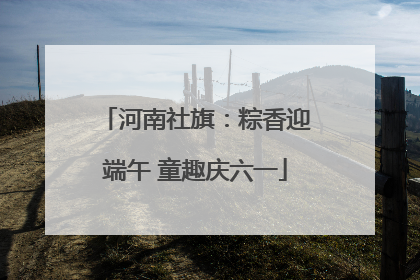 河南社旗：粽香迎端午 童趣庆六一