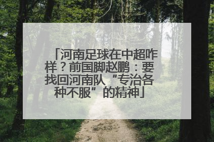 河南足球在中超咋样？前国脚赵鹏：要找回河南队“专治各种不服”的精神