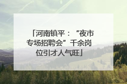 河南镇平：“夜市专场招聘会”千余岗位引才人气旺
