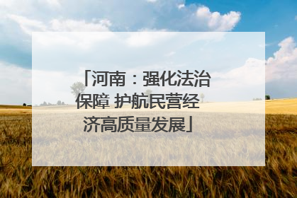 河南：强化法治保障 护航民营经济高质量发展