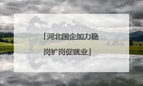 河北国企加力稳岗扩岗促就业