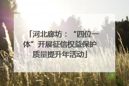 河北廊坊：“四位一体”开展征信权益保护质量提升年活动