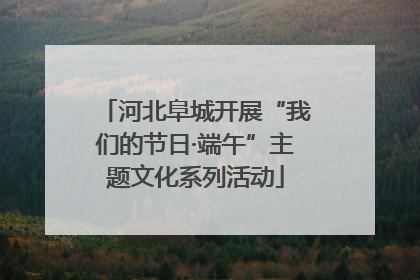 河北阜城开展“我们的节日·端午”主题文化系列活动