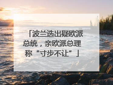 波兰选出疑欧派总统，亲欧派总理称“寸步不让”