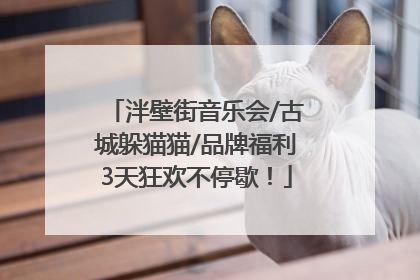 泮壁街音乐会/古城躲猫猫/品牌福利3天狂欢不停歇！