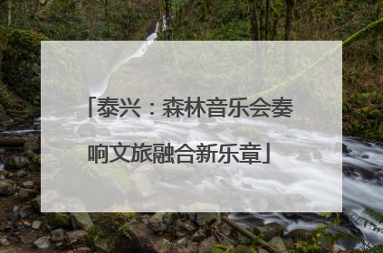 泰兴：森林音乐会奏响文旅融合新乐章