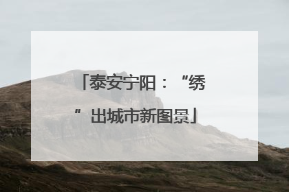 泰安宁阳：“绣”出城市新图景