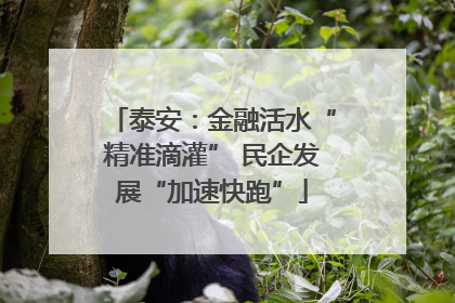 泰安：金融活水“精准滴灌” 民企发展“加速快跑”