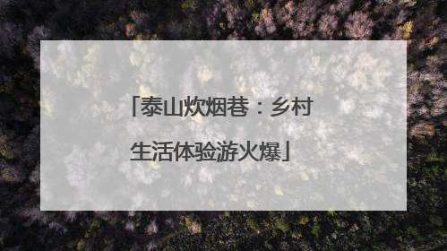 泰山炊烟巷：乡村生活体验游火爆