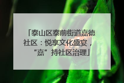 泰山区泰前街道嘉德社区：悦享文化盛宴，“嘉”持社区治理