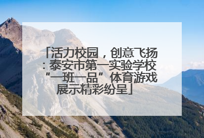 活力校园，创意飞扬：泰安市第一实验学校“一班一品”体育游戏展示精彩纷呈
