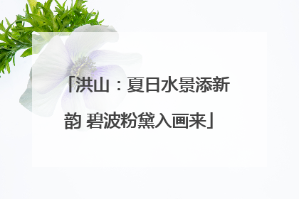 洪山：夏日水景添新韵 碧波粉黛入画来