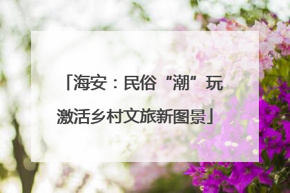 海安：民俗“潮”玩激活乡村文旅新图景