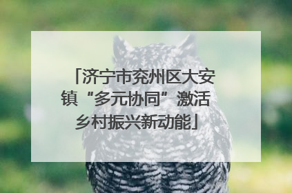 济宁市兖州区大安镇“多元协同”激活乡村振兴新动能