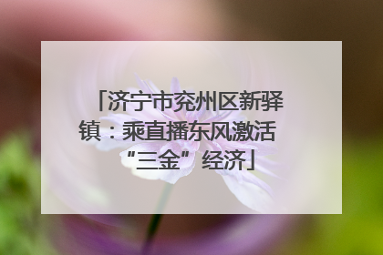济宁市兖州区新驿镇：乘直播东风激活“三金”经济