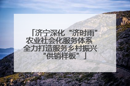 济宁深化“济时雨”农业社会化服务体系 全力打造服务乡村振兴“供销样板”