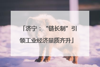 济宁：“链长制”引领工业经济量质齐升