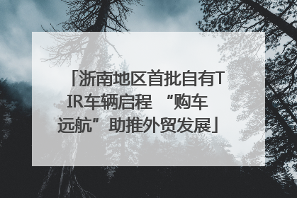 浙南地区首批自有TIR车辆启程 “购车远航”助推外贸发展