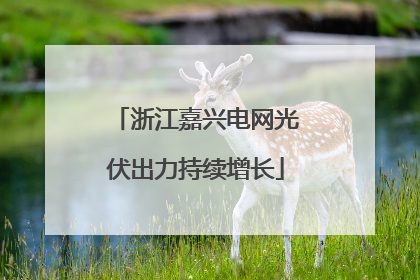 浙江嘉兴电网光伏出力持续增长