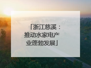 浙江慈溪：推动水家电产业蓬勃发展