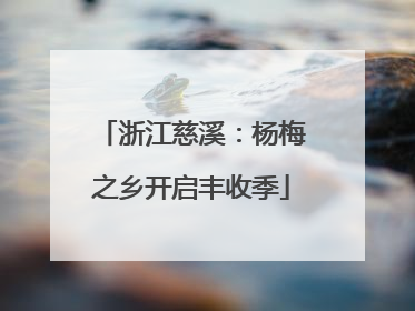 浙江慈溪：杨梅之乡开启丰收季
