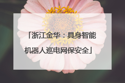 浙江金华：具身智能机器人巡电网保安全