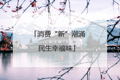 消费“新”潮涌 民生幸福味