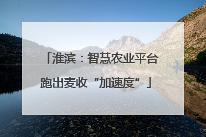 淮滨：智慧农业平台跑出麦收“加速度”