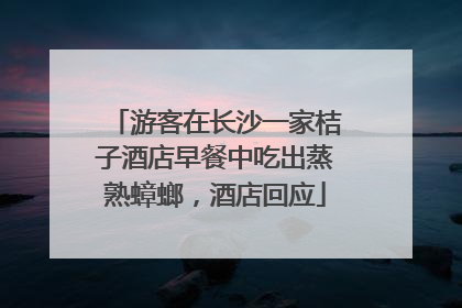 游客在长沙一家桔子酒店早餐中吃出蒸熟蟑螂，酒店回应