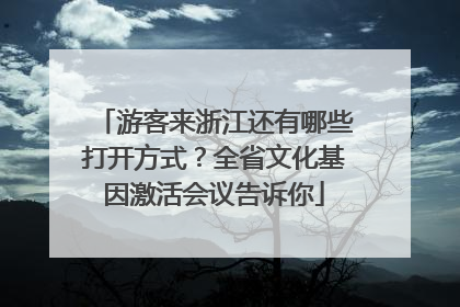 游客来浙江还有哪些打开方式？全省文化基因激活会议告诉你