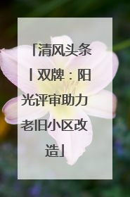 清风头条丨双牌：阳光评审助力老旧小区改造