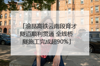 渝昆高铁云南段育才隧道顺利贯通 全线桥隧施工完成超90%