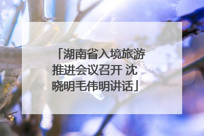 湖南省入境旅游推进会议召开 沈晓明毛伟明讲话