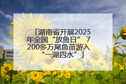 湖南省开展2025年全国“放鱼日” 7200多万尾鱼苗游入“一湖四水”
