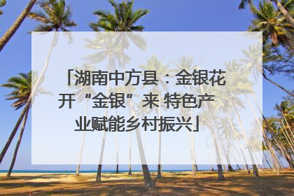 湖南中方县：金银花开“金银”来 特色产业赋能乡村振兴