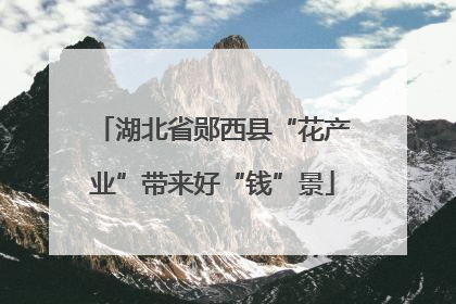 湖北省郧西县“花产业”带来好“钱”景