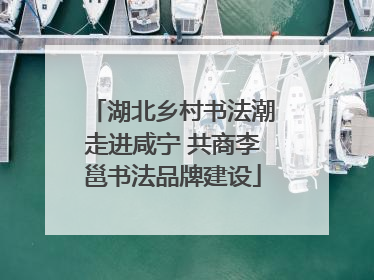 湖北乡村书法潮走进咸宁 共商李邕书法品牌建设