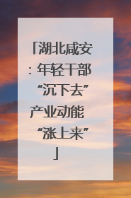 湖北咸安：年轻干部“沉下去” 产业动能“涨上来”