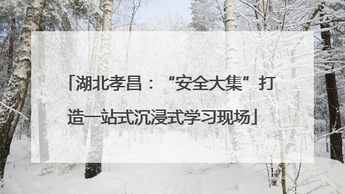 湖北孝昌：“安全大集”打造一站式沉浸式学习现场