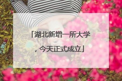 湖北新增一所大学，今天正式成立