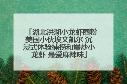 湖北洪湖小龙虾圈粉美国小伙埃文凯尔 沉浸式体验捕捞和爆炒小龙虾 最爱麻辣味