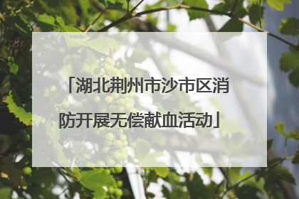 湖北荆州市沙市区消防开展无偿献血活动