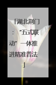 湖北荆门：“五式联动”一体推进精准普法