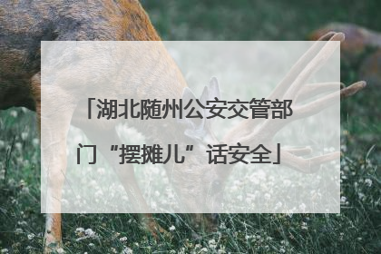 湖北随州公安交管部门“摆摊儿”话安全