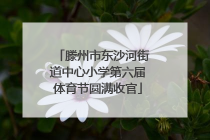 滕州市东沙河街道中心小学第六届体育节圆满收官
