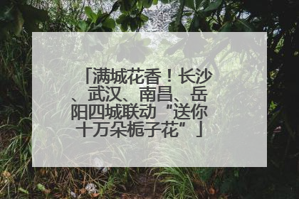 满城花香！长沙、武汉、南昌、岳阳四城联动“送你十万朵栀子花”